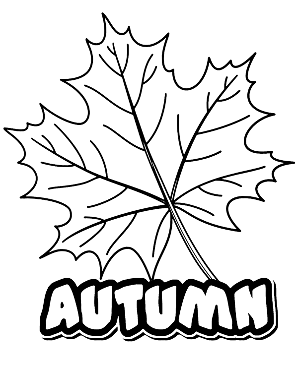 Autumn logo and leaf coloring sheet