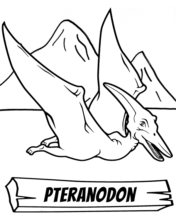 Pteranodon a flying dinosaur