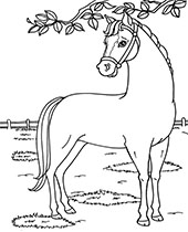 A horse Dancer coloring sheet