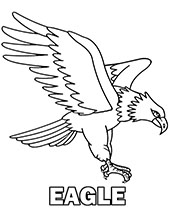 An eagle printable coloring sheet