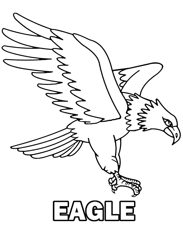 Flying eagle coloring page for kids