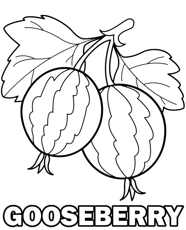 Goosberry coloring page with fruits