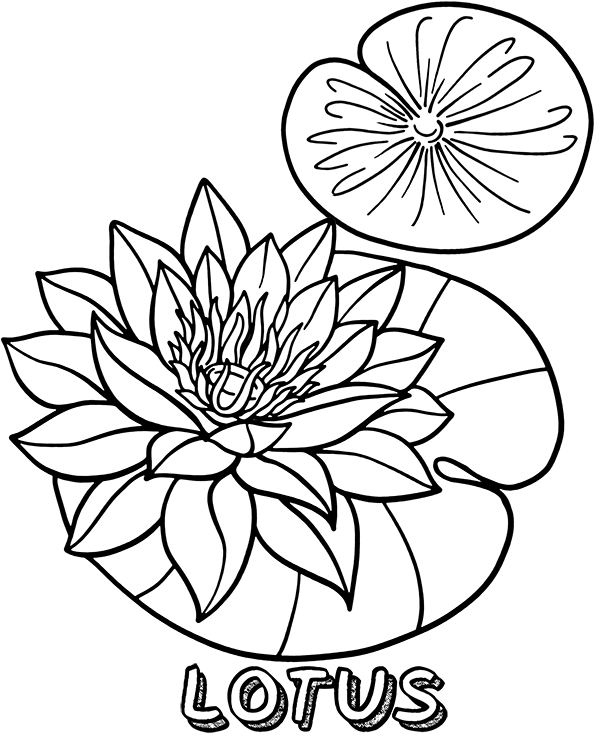 Lotus flower coloring page, sheet