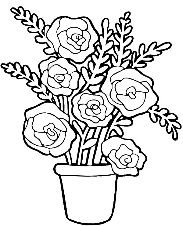 Coloring page roses in a pot