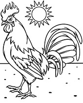 Rooster quality coloring sheet