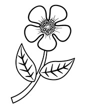 A simple flower to print and color