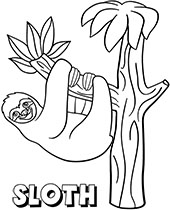 Smiled sloth on a tree coloring page