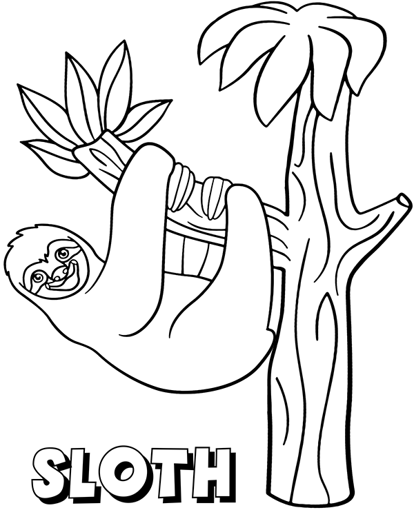 Free sloth ona branch coloring page