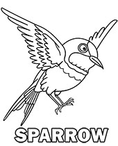 A miniature of sparrow coloring page