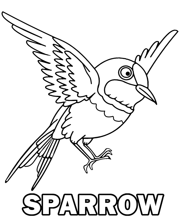 Flying sparrow coloring page for free