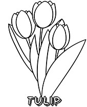 A bunch of tulips coloring page
