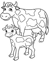 A cow and a calf coloring page