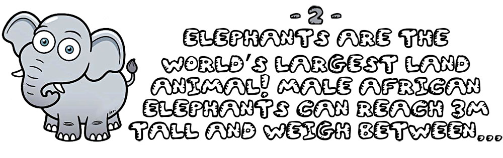 Elephant quiz question