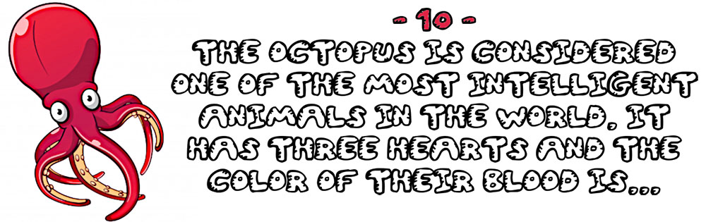 Octopus quiz for children question