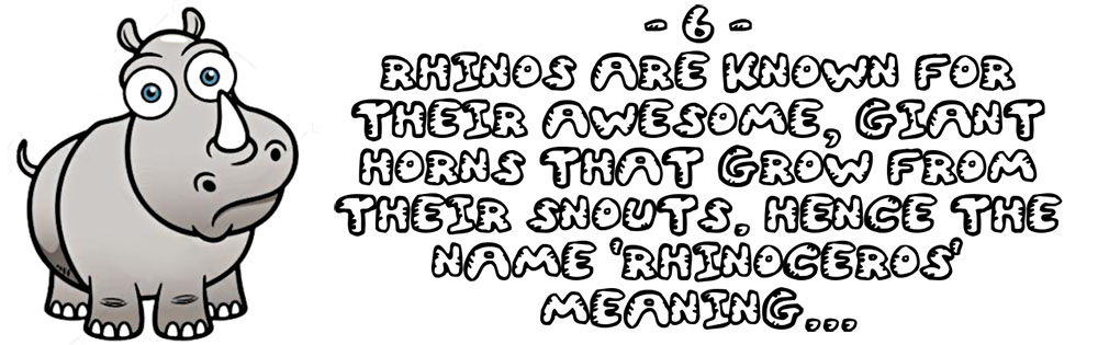 Rhino quiz for kids question