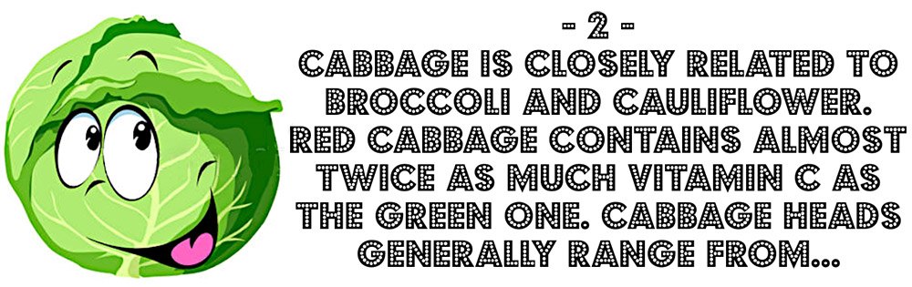 Cabbage qestion quiz for kids
