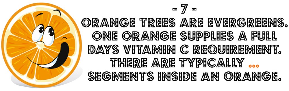 Orange question in quiz for kids