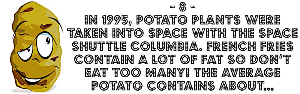 Potato question in quiz for kids