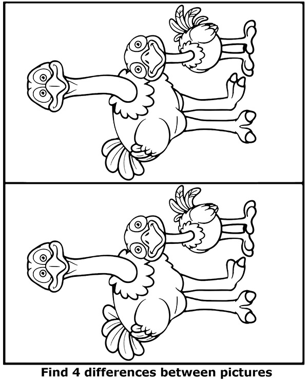 Spot 4 differences between two pictures of ostrich