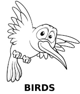 Category of birds coloring pages