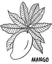 Mango coloring page fruit with name