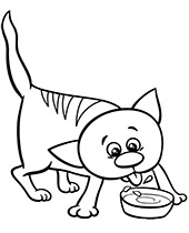 Cat drink milk coloring picture