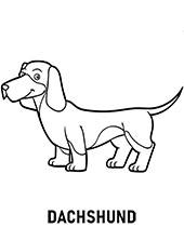 Dachshund coloring sheets for kids