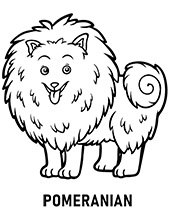 Fluffy dog coloring pages dogs