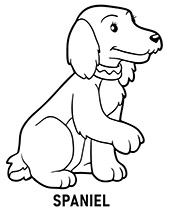 Spaniel coloring page to print