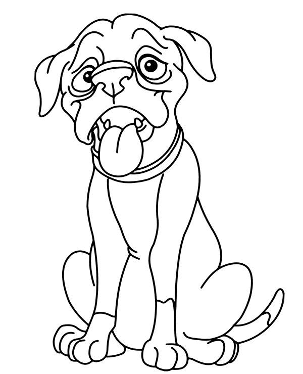 Bulldog coloring pages dogs