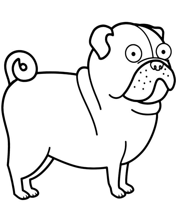 Pug terrier coloring page