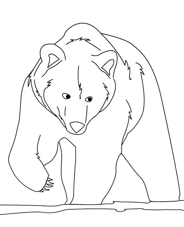 Brown bear coloring page to print