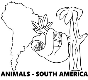 Animals of South America coloring pages