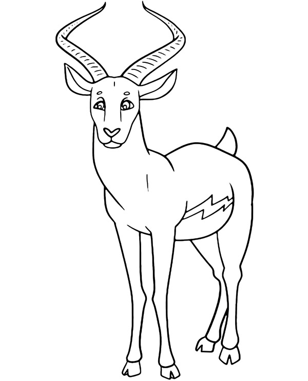 Animal antelope coloring page