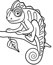 Printable coloring sheet with chameleon