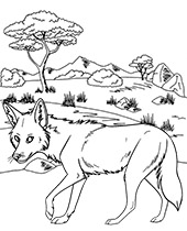 Realistic coyote coloring sheet