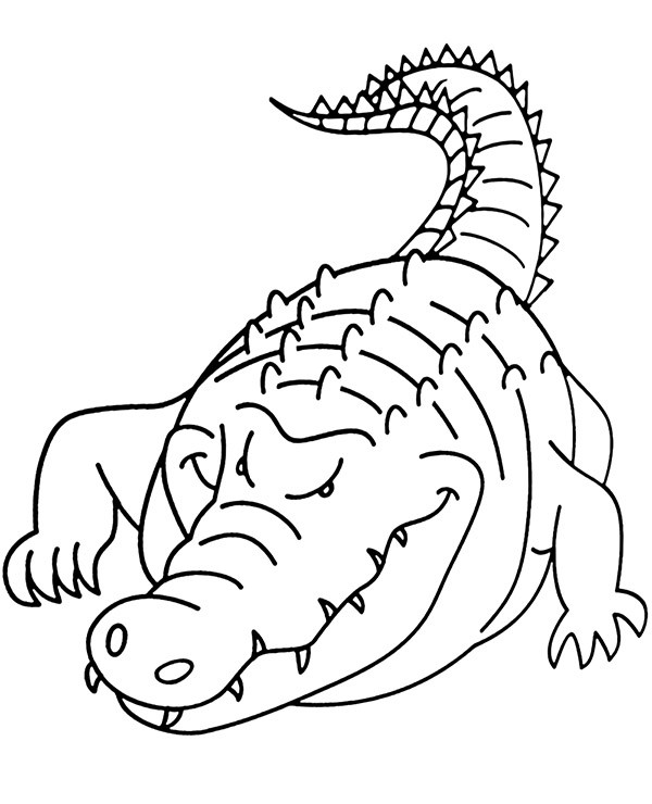 Big crocodile coloring page