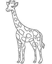 Giraffe coloring picture African animal