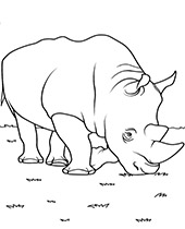 Coloring page with rhinoceros