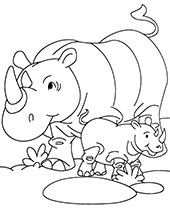 Coloring page with rhinoceroses African animal