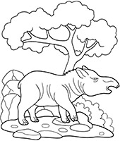 Coloring page with a tapir
