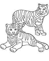 Animals tigers coloring sheet