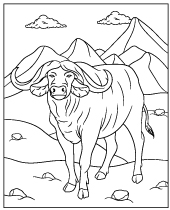 Animal buffalo coloring sheet