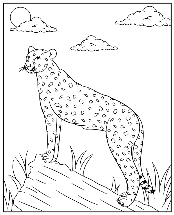 Animal coloring page of a cheetah