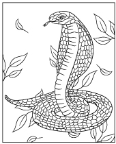 Cobra coloring sheet snake