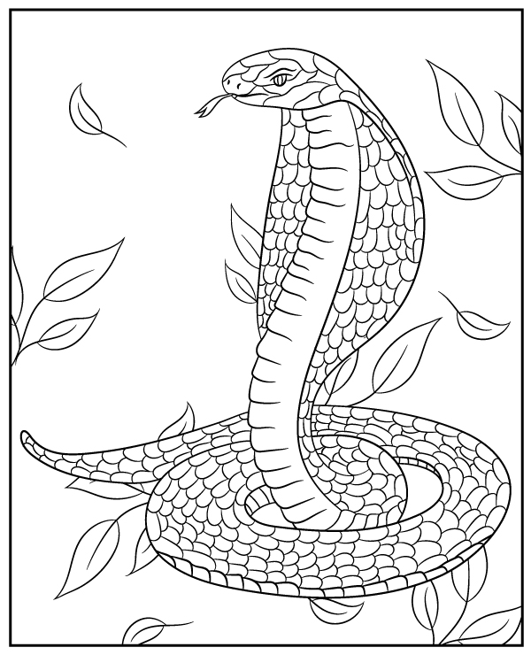 King Cobra Coloring Page, Free King Cobra Online Coloring