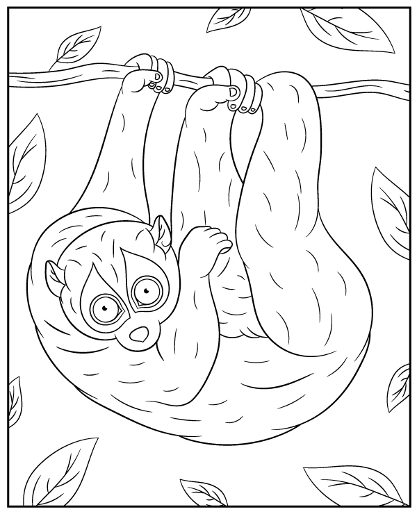 Kukang coloring page sheet