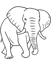 Asian elephant coloring sheet to print