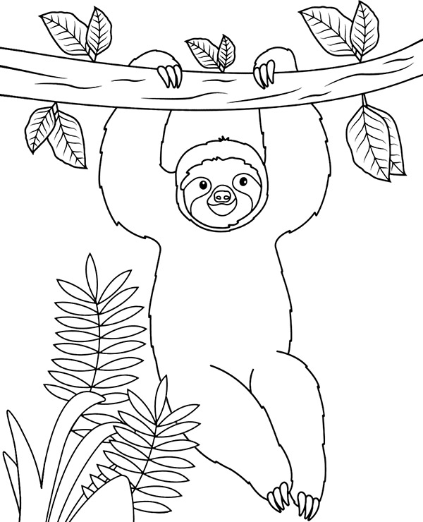 Exotic animal coloring page sloth
