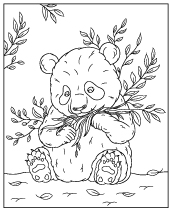 Giant panda coloring page Asian bear